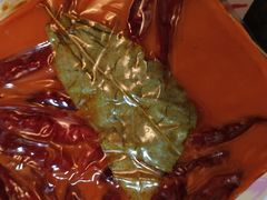 -川西坝子(老军营店)