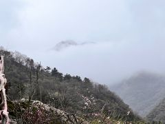 -秦岭终南山世界地质公园翠华山景区