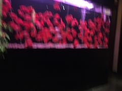 -大唐盲人按摩中心(黄山路店)