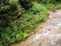 -洛阳白云山景区