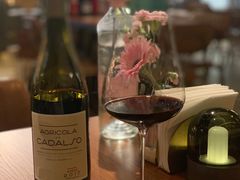-Wine Universe 宇宙酒馆
