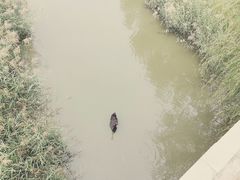 -北京麋鹿生态实验中心