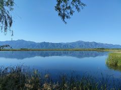-野鸭湖国家湿地公园