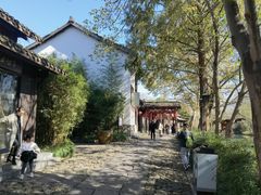 -西溪国家湿地公园