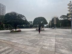 -重庆市江北嘴中央商务区中央公园