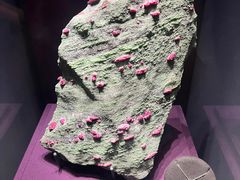 -山东博物馆