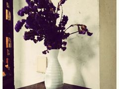 小雅青年旅舍-小雅青年旅舍(平江路店)