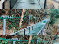 -龙湾潭国家森林公园
