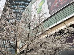 -上海世纪汇广场
