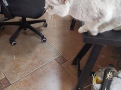 -青春加萌照相馆