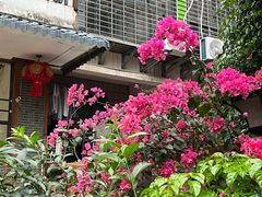 -不曾在把把烧•烧烤(莲坂磐基店)