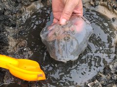 -天津东疆湾沙滩景区