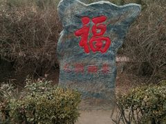 -浮来山风景区