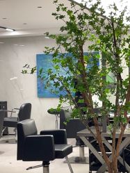 -付军剪艺JF ProSalon