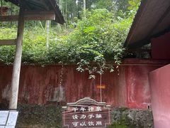 -芦沟竹海