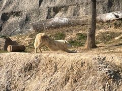 -杭州野生动物世界