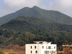 -龙坞茶村