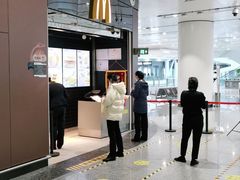 -麦当劳(北京大兴机场二层国内到达(安检外)店)