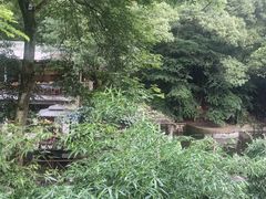 -天怡·鱼工厂(梅溪湖店)