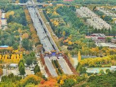 -北京西山国家森林公园