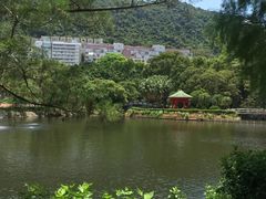 -大埔公路-马料水段香港中文大学(公交站)