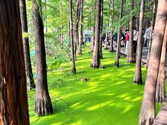 -云龙湖旅游景区