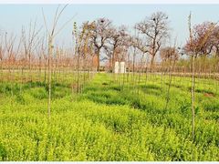 -白沙门生态公园