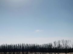 -东郊湿地公园