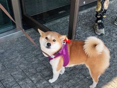 -星巴克(珠海仁恒滨海中心店)