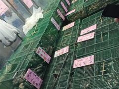 -荔城生鲜盛宴(番禺旗舰店)