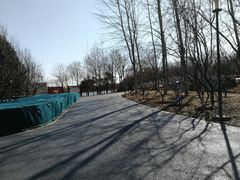 -大兴滨河森林公园