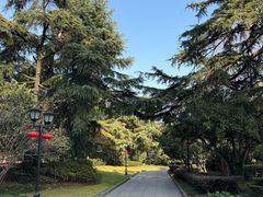 -上海虹桥迎宾馆