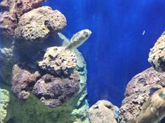 -福州罗源湾海洋世界旅游区