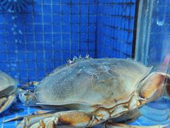 -香山湖渔家大院