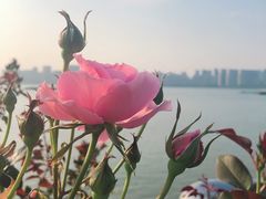 -爱康国宾体检中心(杭州滨江江南大道分院)