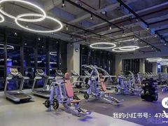 -GYMCARE VIVA(金开店)