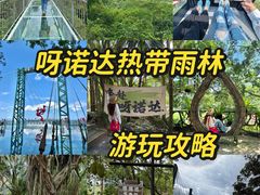 -呀诺达热带雨林