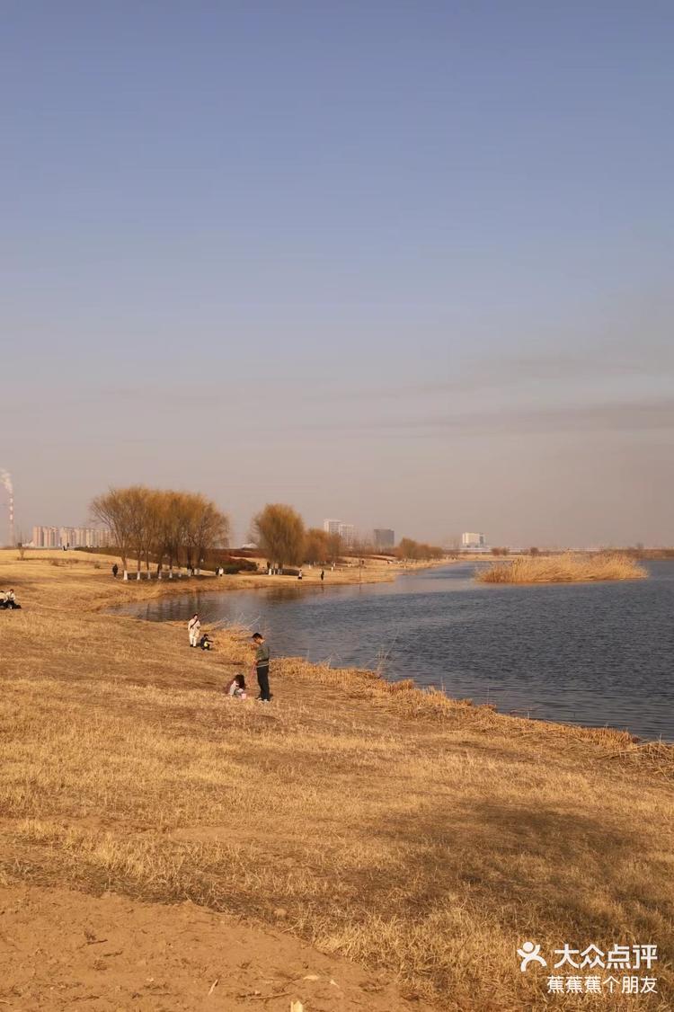冬天的西安湖渭河城市公园