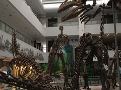 -中国地质大学逸夫博物馆