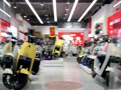 -九号电动车(安定门内大街店)