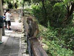 -太鲁阁公园