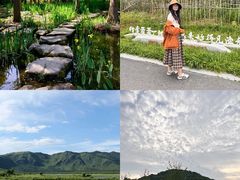 -长广溪湿地公园
