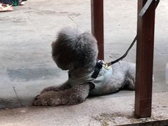 -兴福老面馆(寺路街店)