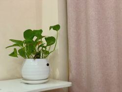 点击看大图 -芳朵美容养生SPA