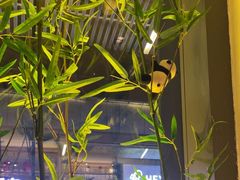 -蓉城小馆(科兴店)