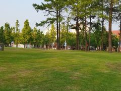-美兰湖景区