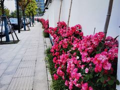 -胖哥俩肉蟹煲(海盐总店)
