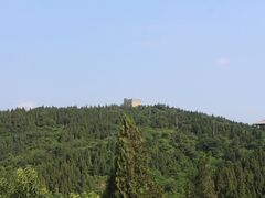 -原山国家森林公园