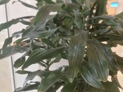 -浦东市民中心-停车场