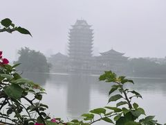 -眉山湿地公园(东坡区)